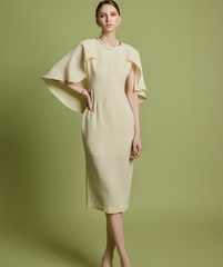 Đầm Hàn Quốc 061024