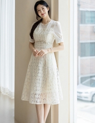 Đầm Hàn Quốc 080624