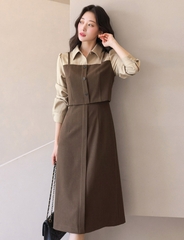 Váy thời trang Hàn Quốc 100148