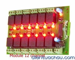 Module RF 12 channel relay