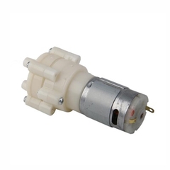 Động Cơ Bơm Nước R365  12VDC