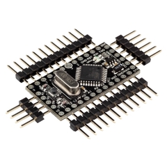 Pro Mini Atmega168