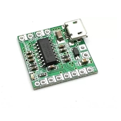 Mạch khuếch đại âm thanh PAM8403 mini USB