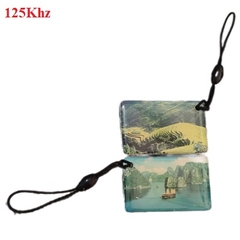 Thẻ RFID 125Khz VHL