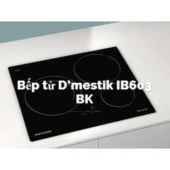 Bếp từ Dmestik I603BK
