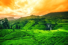 Sri Lanka - Hòn ngọc xanh Ấn Độ Dương - Kỳ 2