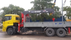 bán xe cẩ tự hành 7 tấn, cẩu atom 7 tấn hàn quốc