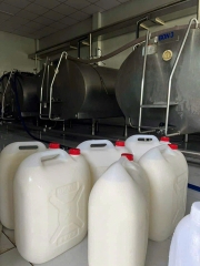 Sữa Bò Bao Nhiêu Tiền 1 Lít? Giá Cập Nhật Mới Nhất Từ Trang Trại Năm 2026