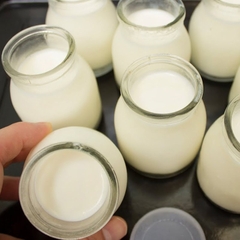 Làm Sữa Chua Từ Sữa Bò Tươi Tại Nhà: Cách Làm Đơn Giản, Dẻo Mịn, Không Tách Nước
