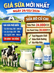 Cập nhật giá các loại sữa ngày 29/03/2026  – Sữa bò Củ Chi bao nhiêu tiền?