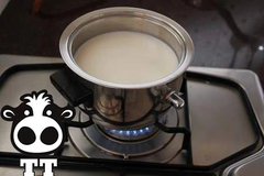 Cách nấu sữa bò mới vắt nguyên chất đúng cách, không bị tanh