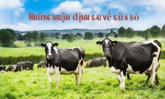 Những suy nghĩ không đúng về sữa bò tươi