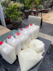 Nơi bán sữa bò ở Gò Vấp