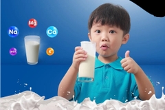 Uống sữa bò bổ sung chất gì? – Hiểu đúng giá trị dinh dưỡng từ sữa bò tươi