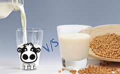 Uống sữa bò có tốt hơn uống sữa đậu nành không ?