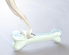 Uống Sữa Nhiều Có Bị Loãng Xương không?