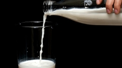 Uống sữa bò mỗi ngày có sao không?