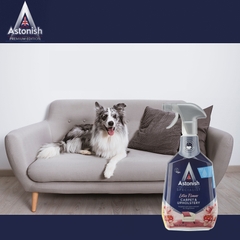 Bình xịt tẩy vết bẩn trên nỉ thảm, ghế Sofa Astonish C6720 750ml