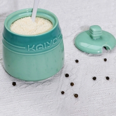 Bộ 3 hũ gốm sứ đựng gia vị Kaiyo Rainbowl kèm giá đựng