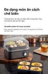 Máy hấp trứng và đa dạng món hấp khác LocknLock Multi Egg Cooker EJE223GRY