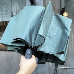 Ô Gấp Gọn Thu Mở Tự Động 10 Nan Kaiyo