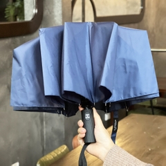 Ô Gấp Gọn Thu Mở Tự Động 10 Nan Kaiyo