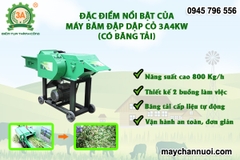 Máy băm cỏ đa năng 3A4Kw (băng tải)