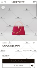 LV CAPUCINES MINI M20845 - LIKE AUTH 99%