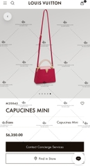 LV CAPUCINES MINI M20845 - LIKE AUTH 99%