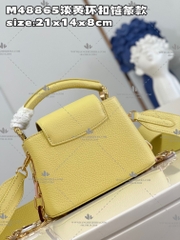 LV CAPUCINES MINI BAG M21798 - LIKE AUTH 99%