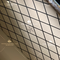 LV PETITE MALLE CAPITALE M46755 - LIKE AUTH 99%