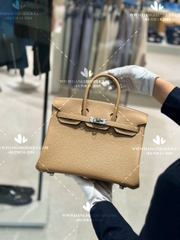 HERMES BIRKIN B25 MAY TAY 100% - LIKE AUTH 99%