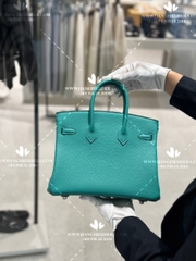 HERMES BIRKIN B25 MAY TAY 100% - LIKE AUTH 99%