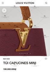 LV CAPUCINES MINI BAG N81409 - LIKE AUTH 99%