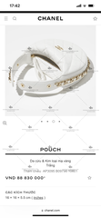 CHANEL POUCH AP3095 SIZE 16