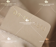 MEDIUM DIOR TOUJOURS BAG POWDER BEIGE MACROCANNAGE CALFSKIN M2821OSHJ_M51U - LIKE AUTH 99%