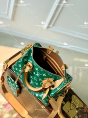 LV SPEEDY P9 BANDOULIERE 25 M24423 - LIKE AUTH 99%
