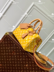 LV SPEEDY P9 BANDOULIERE 25 M24426 - LIKE AUTH 99%