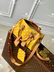 LV SPEEDY P9 BANDOULIERE 25 M24426 - LIKE AUTH 99%