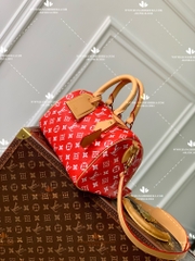 LV SPEEDY P9 BANDOULIERE 25 M24425 - LIKE AUTH 99%