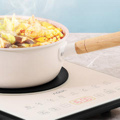 Bếp Điện Từ AQUA AQS-ICT2201R(C)-VN