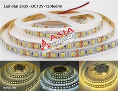 Đèn LED Dán 2835 - DC-12V Asia Lighting LDA35