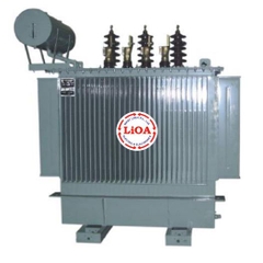 Biến Áp Điện Lực 3 Pha Ngâm Dầu 250 KVA LiOA 3D252H4NM1Y1