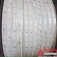 Đèn LED Dây 2835 Asia Lighting LD35R-180 (3 Hàng)