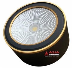 Đèn Trần Nổi Tròn Vỏ Đen Viền Vàng Thân Ngắn Asia Lighting OBLD10V