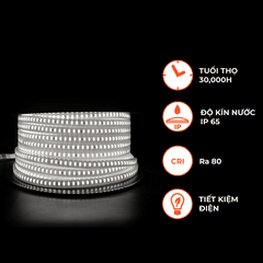 Đèn LED Dây Ngoài Trời 60 Chip LED Nanoco NST060