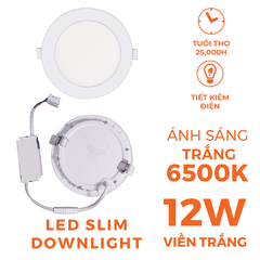 Đèn Âm Trần Nanoco Hera Series NSD12W (12W)