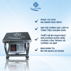 Cân Ghế Điện Tử Sài Gòn SGH-150 (150-200kg)