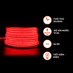 Đèn LED Dây Ngoài Trời 120 Chip LED - 2 Dãy LED Nanoco NST120