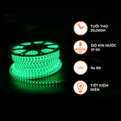 Đèn LED Dây Ngoài Trời 72 Chip LED Nanoco NST072